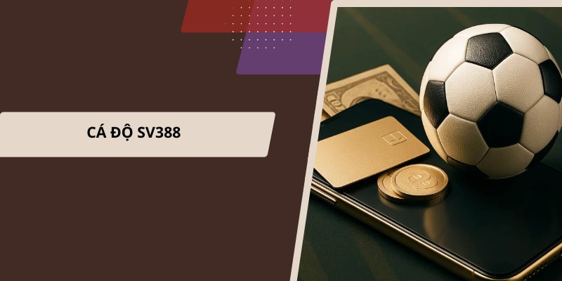 Cá độ thể thao SV388