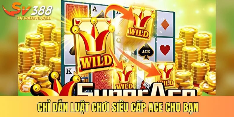 Chỉ dẫn luật chơi siêu cấp ACE cho bạn