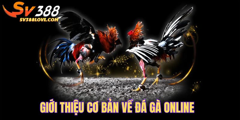 Khái quát về sảnh đá gà trực tuyến tại nhà cái uy tín SV388