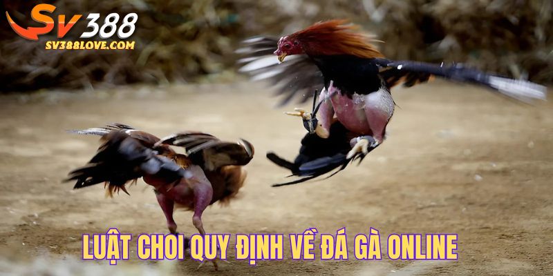Luật quy định cho một trận đá gà online hoàn chỉnh