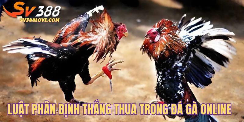 Luật phân xử thắng thua trong đá gà online mới nhất 2025