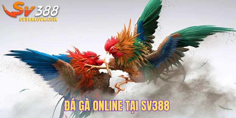 Đá gà online tại SV388