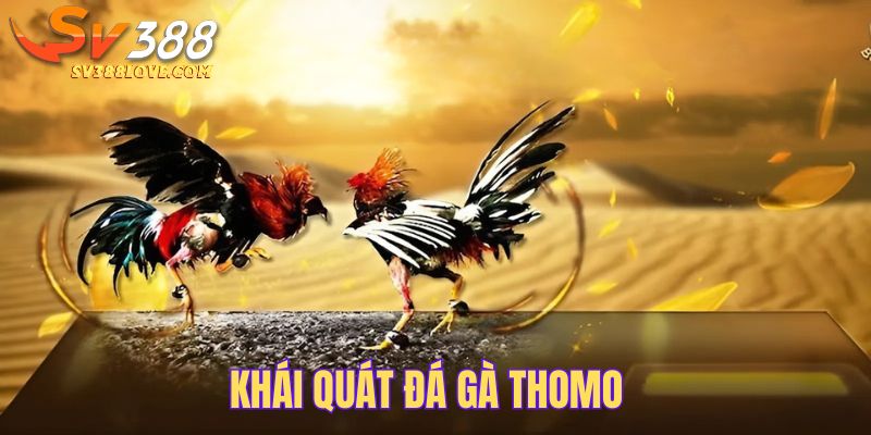 Khái quát về sân chơi đá gà Thomo đến toàn bộ hội viên