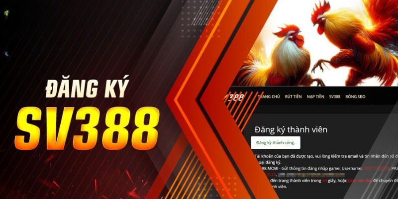 Một số điều kiện đăng ký SV388 mà bạn cần phải đáp ứng đầy đủ