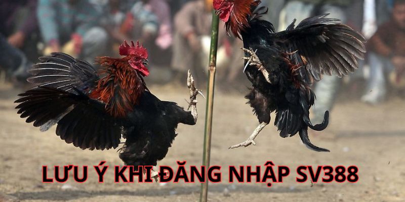 Những lưu ý quan trọng khi tiến hành truy cập vào thương hiệu