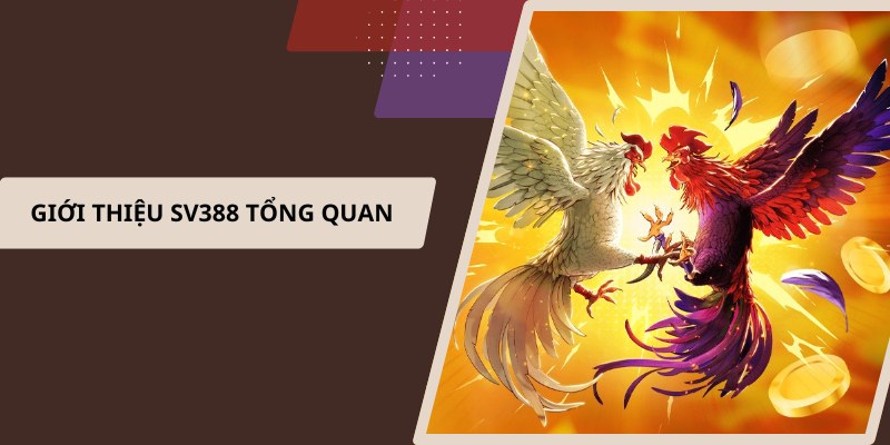 Giới thiệu SV388 tổng quan