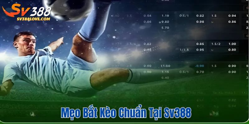 Mẹo bắt kèo chuẩn tại SV388